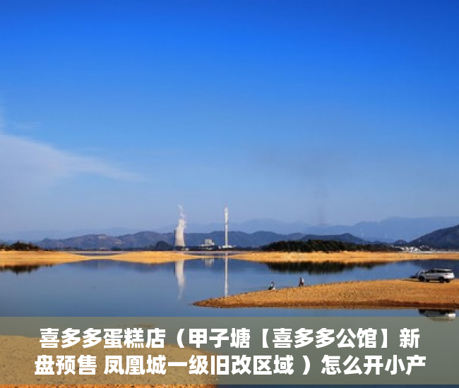 喜多多蛋糕店（甲子塘【喜多多公馆】新盘预售 凤凰城一级旧改区域 ）怎么开小产权房公司，