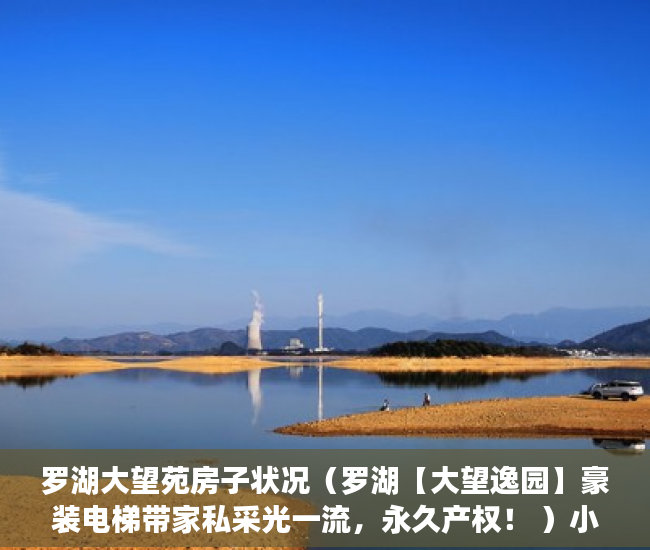 罗湖大望苑房子状况（罗湖【大望逸园】豪装电梯带家私采光一流，永久产权！ ）小产权变大产权多久满5年，