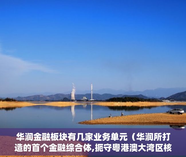 华润金融板块有几家业务单元（华润所打造的首个金融综合体,扼守粤港澳大湾区核心 ）深圳小产权房学位锁定多久解锁，