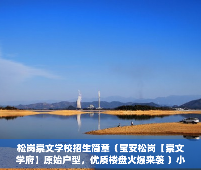 松岗崇文学校招生简章（宝安松岗【崇文学府】原始户型，优质楼盘火爆来袭 ）小产权房拆除后多久可以拆除，