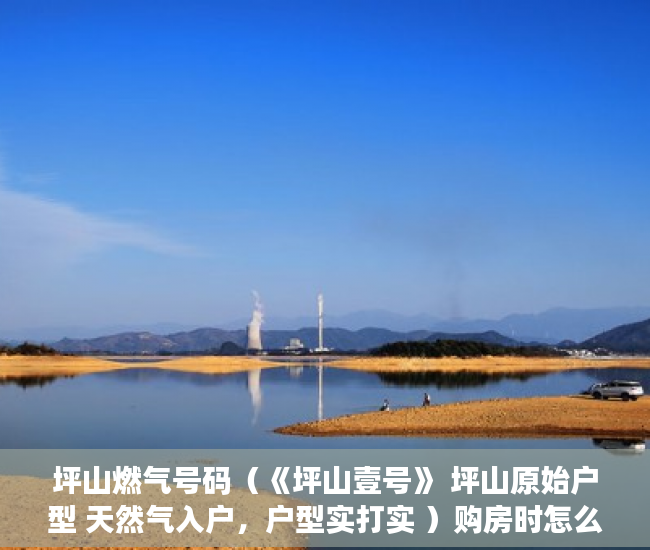 坪山燃气号码（《坪山壹号》 坪山原始户型 天然气入户，户型实打实 ）购房时怎么能看出是大小产权，