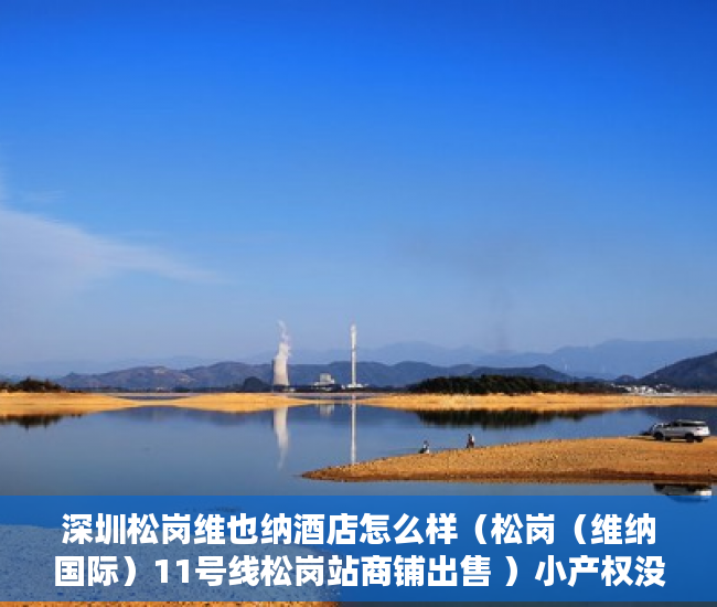 深圳松岗维也纳酒店怎么样（松岗（维纳国际）11号线松岗站商铺出售 ）小产权没有证怎么加名字，