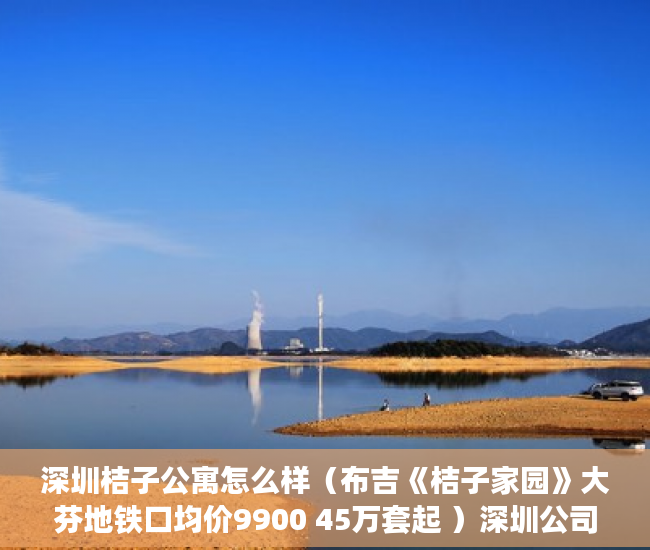 深圳桔子公寓怎么样（布吉《桔子家园》大芬地铁口均价9900 45万套起 ）深圳公司小产权房多久可以卖，