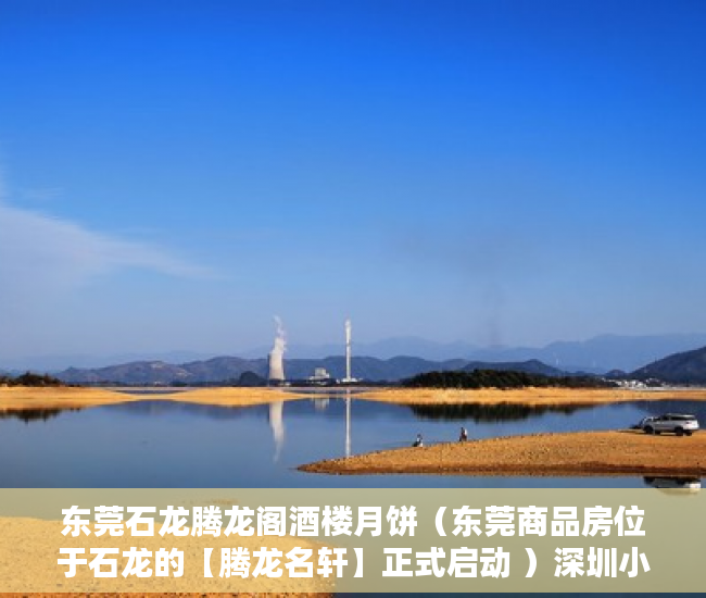 东莞石龙腾龙阁酒楼月饼（东莞商品房位于石龙的【腾龙名轩】正式启动 ）深圳小产权房有多久产权，