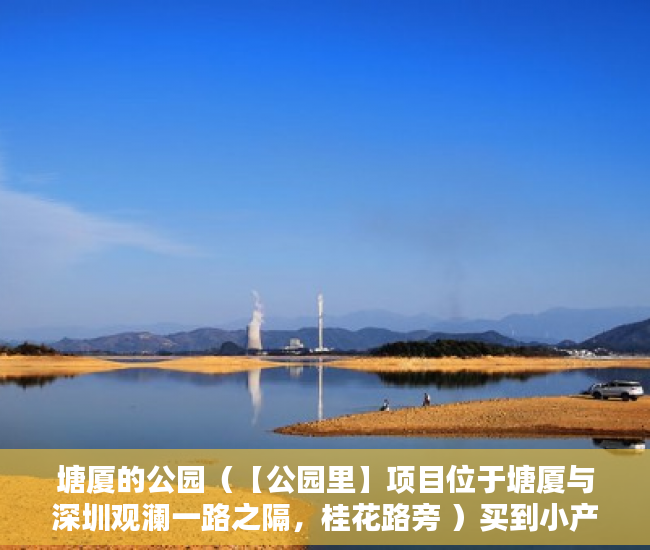 塘厦的公园（【公园里】项目位于塘厦与深圳观澜一路之隔，桂花路旁 ）买到小产权房无法过户怎么办，