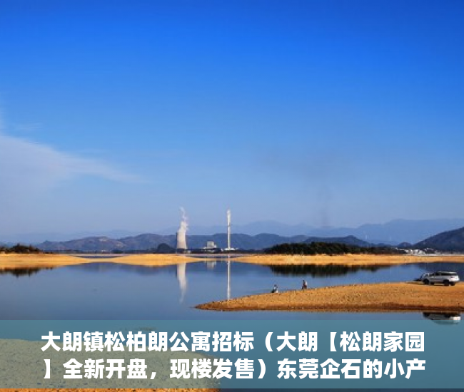 大朗镇松柏朗公寓招标（大朗【松朗家园】全新开盘，现楼发售）东莞企石的小产权房怎么办，