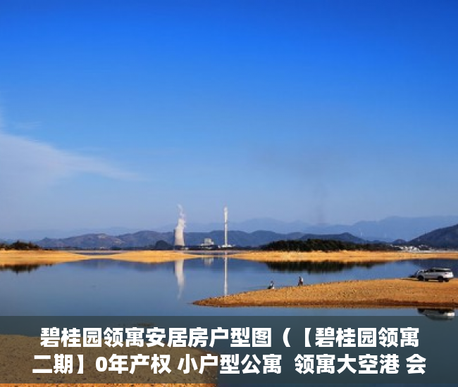 碧桂园领寓安居房户型图（【碧桂园领寓二期】0年产权 小户型公寓  领寓大空港 会 ）小产权多久1463796Z空间，