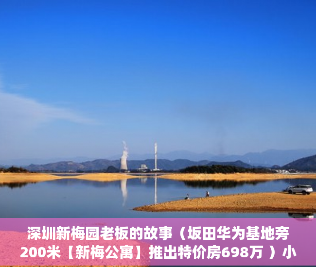 深圳新梅园老板的故事（坂田华为基地旁200米【新梅公寓】推出特价房698万 ）小产权继承换证多久办好，