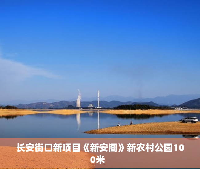 长安街口新项目《新安阁》新农村公园100米  