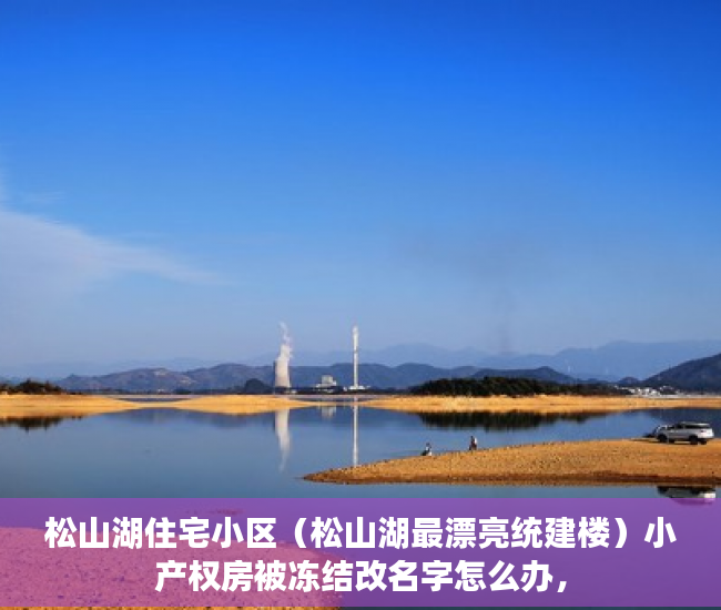 松山湖住宅小区（松山湖最漂亮统建楼）小产权房被冻结改名字怎么办，