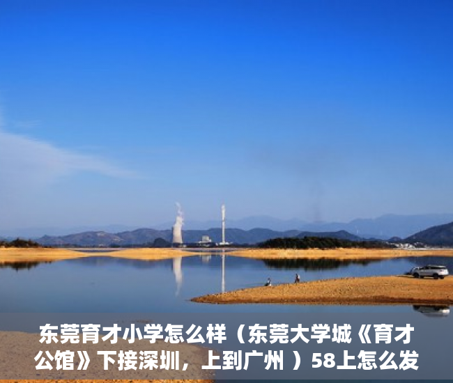 东莞育才小学怎么样（东莞大学城《育才公馆》下接深圳，上到广州 ）58上怎么发布小产权房屋出售，