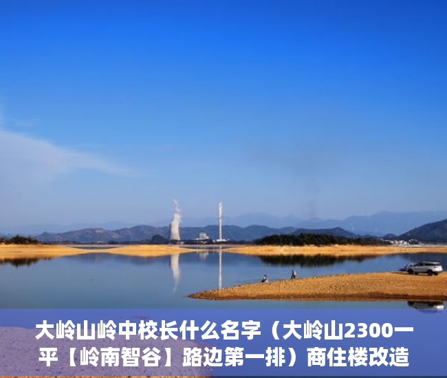 大岭山岭中校长什么名字（大岭山2300一平【岭南智谷】路边第一排）商住楼改造小产权房怎么办，