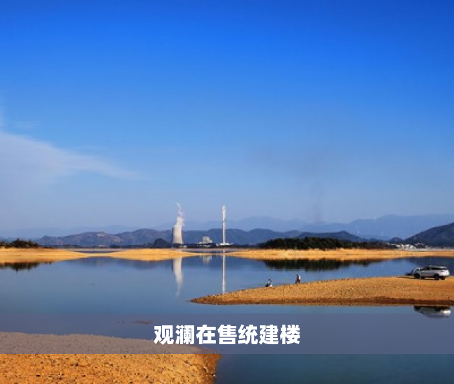 观澜在售统建楼