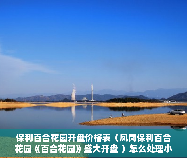 保利百合花园开盘价格表（凤岗保利百合花园《百合花园》盛大开盘 ）怎么处理小产权房，