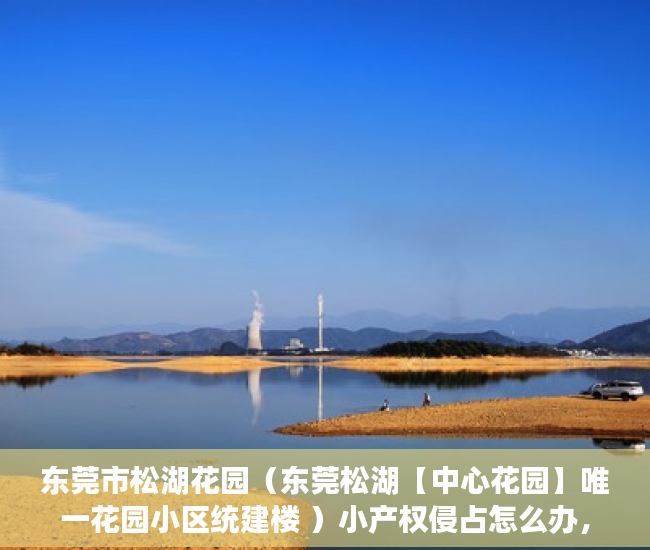 东莞市松湖花园（东莞松湖【中心花园】唯一花园小区统建楼 ）小产权侵占怎么办，
