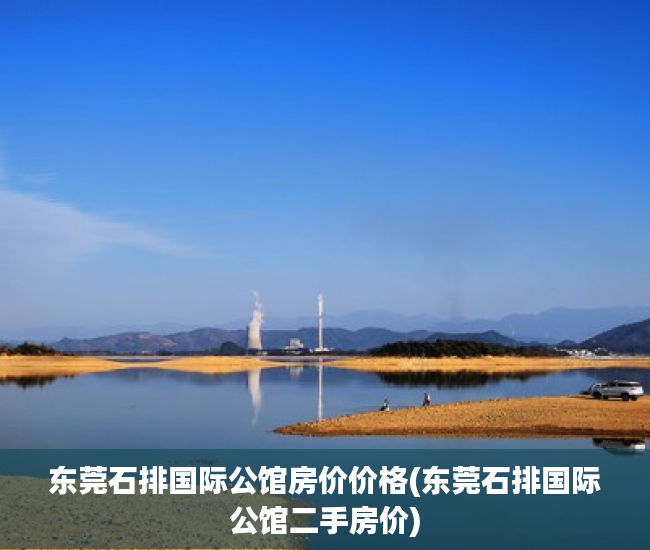 东莞石排国际公馆房价价格(东莞石排国际公馆二手房价)