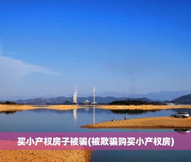 买小产权房子被骗(被欺骗购买小产权房)