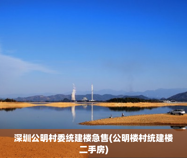 深圳公明村委统建楼急售(公明楼村统建楼二手房) 深圳公明村委统建楼急售(公明楼村统建楼二手房)