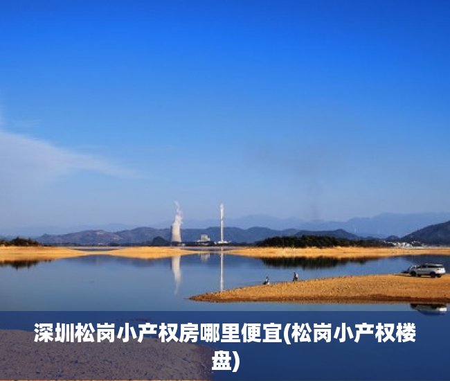 深圳松岗小产权房哪里便宜(松岗小产权楼盘)