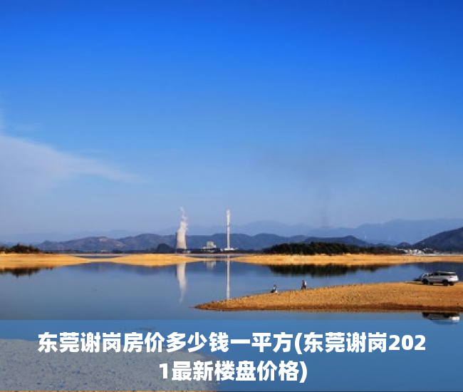 东莞谢岗房价多少钱一平方(东莞谢岗2021最新楼盘价格) 东莞谢岗房价多少钱一平方(东莞谢岗2021最新楼盘价格)