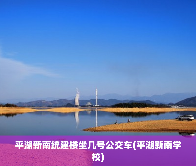 平湖新南统建楼坐几号公交车(平湖新南学校)