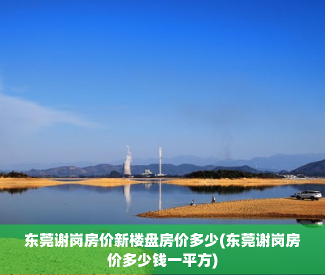 东莞谢岗房价新楼盘房价多少(东莞谢岗房价多少钱一平方) 东莞谢岗房价新楼盘房价多少(东莞谢岗房价多少钱一平方)