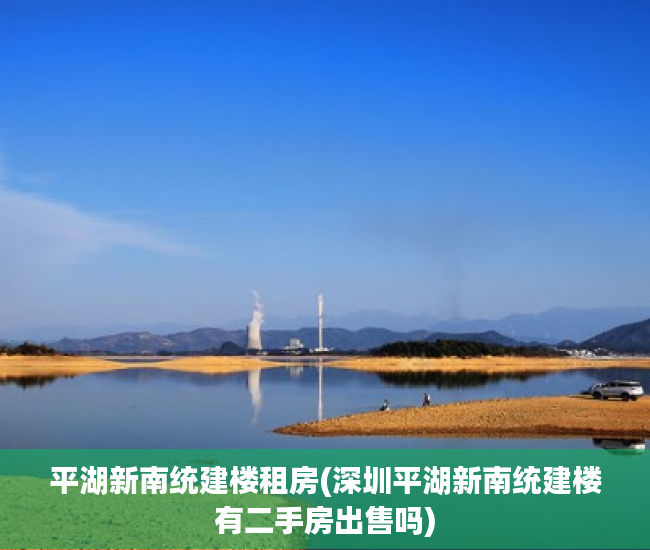 平湖新南统建楼租房(深圳平湖新南统建楼有二手房出售吗)