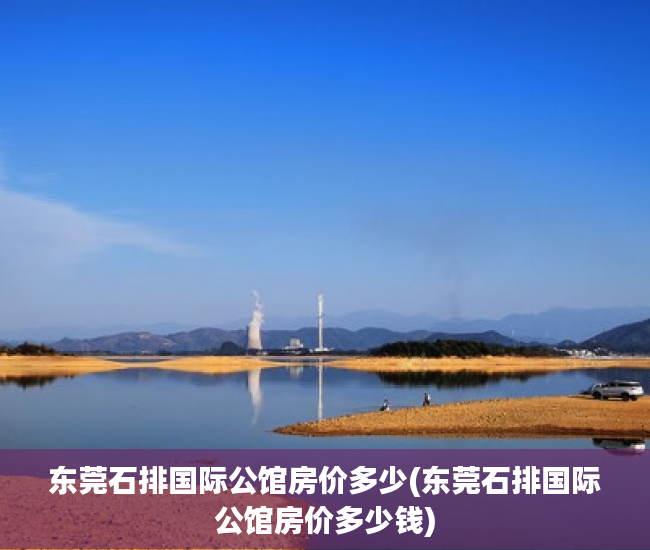 东莞石排国际公馆房价多少(东莞石排国际公馆房价多少钱)