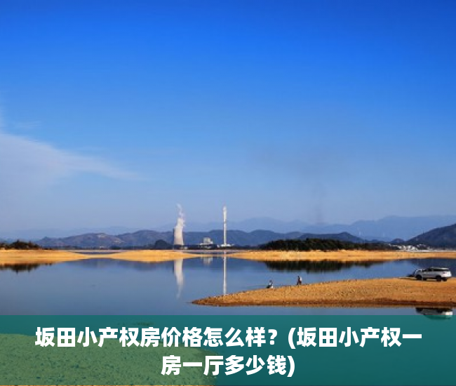 坂田小产权房价格怎么样？(坂田小产权一房一厅多少钱)