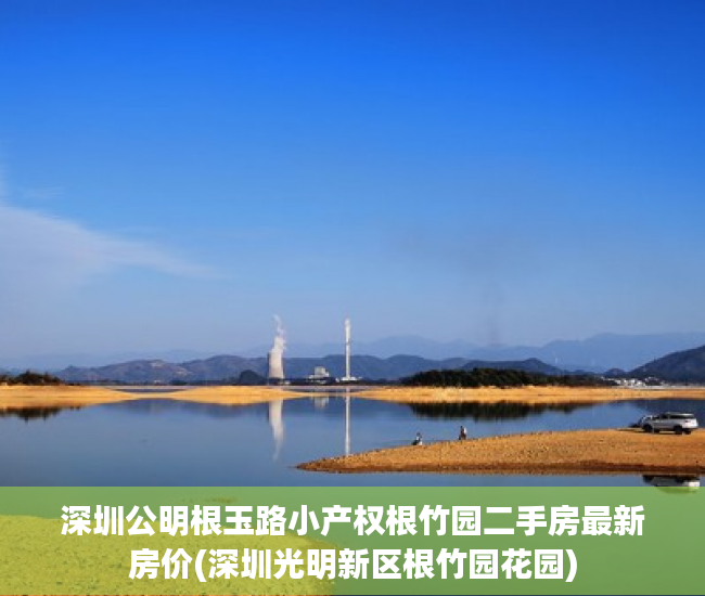 深圳公明根玉路小产权根竹园二手房最新房价(深圳光明新区根竹园花园)