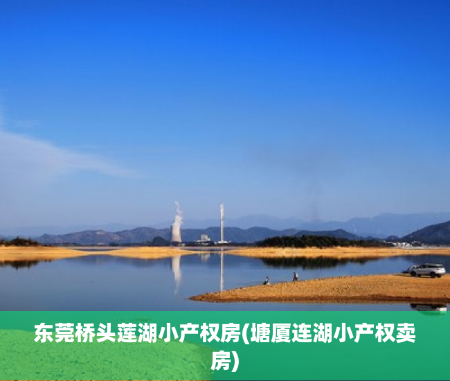 东莞桥头莲湖小产权房(塘厦连湖小产权卖房)