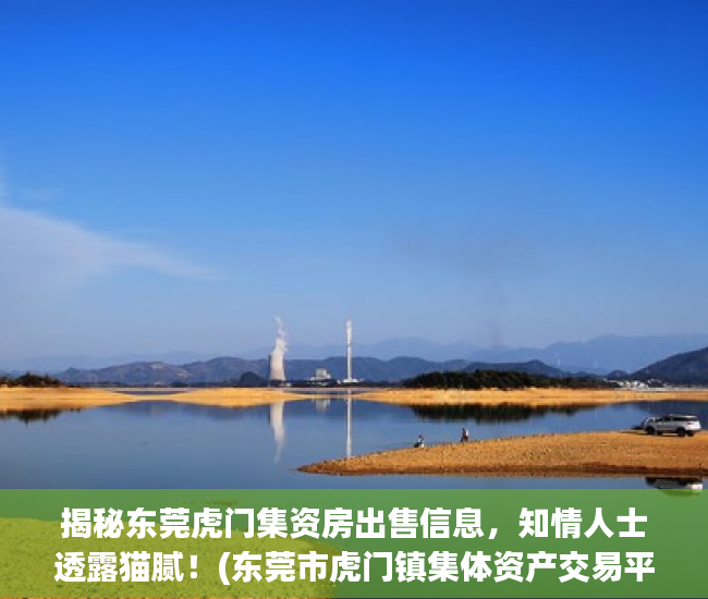 揭秘东莞虎门集资房出售信息，知情人士透露猫腻！(东莞市虎门镇集体资产交易平台)