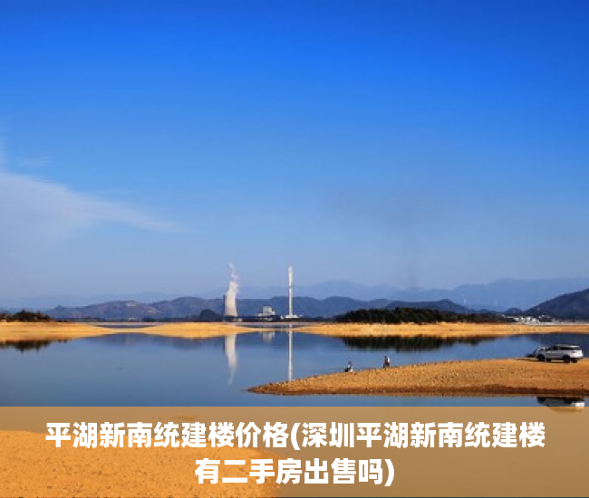 平湖新南统建楼价格(深圳平湖新南统建楼有二手房出售吗)