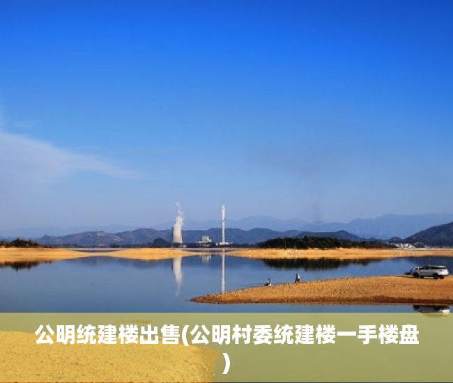 公明统建楼出售(公明村委统建楼一手楼盘) 公明统建楼出售(公明村委统建楼一手楼盘)