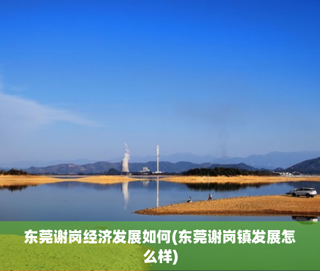 东莞谢岗经济发展如何(东莞谢岗镇发展怎么样) 东莞谢岗经济发展如何(东莞谢岗镇发展怎么样)