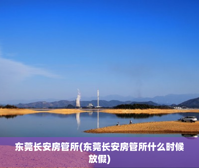 东莞长安房管所(东莞长安房管所什么时候放假)