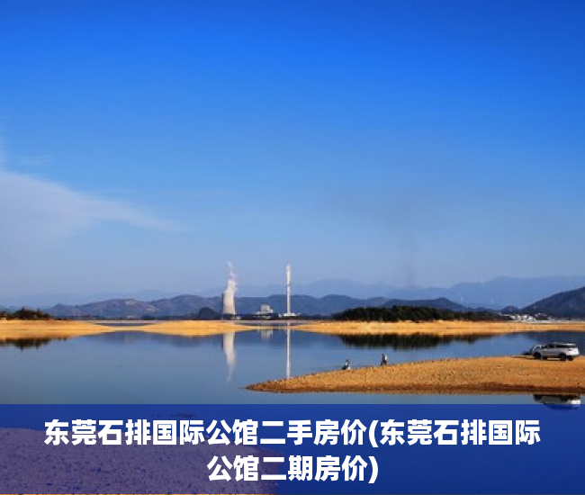 东莞石排国际公馆二手房价(东莞石排国际公馆二期房价)