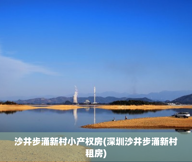 沙井步涌新村小产权房(深圳沙井步涌新村租房)