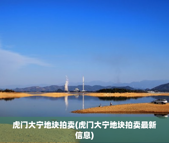 虎门大宁地块拍卖(虎门大宁地块拍卖最新信息) 虎门大宁地块拍卖(虎门大宁地块拍卖最新信息)