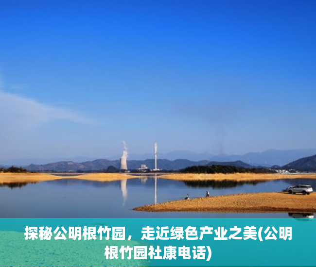 探秘公明根竹园，走近绿色产业之美(公明根竹园社康电话)