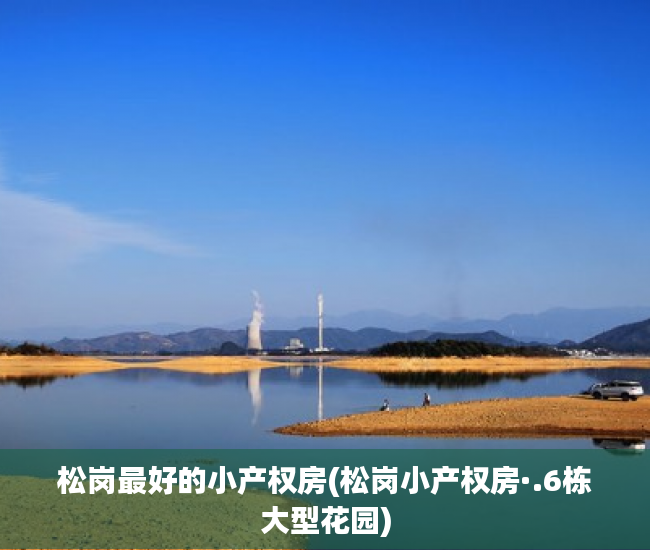 松岗最好的小产权房(松岗小产权房·.6栋大型花园)