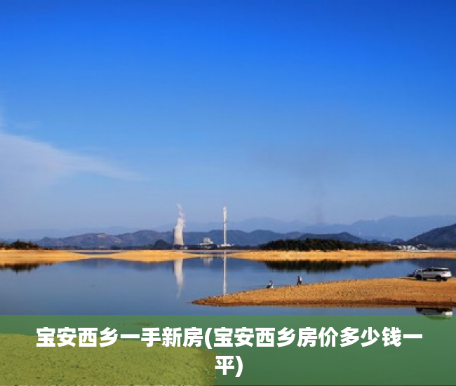 宝安西乡一手新房(宝安西乡房价多少钱一平)
