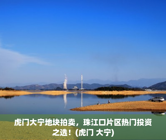 虎门大宁地块拍卖，珠江口片区热门投资之选！(虎门 大宁)