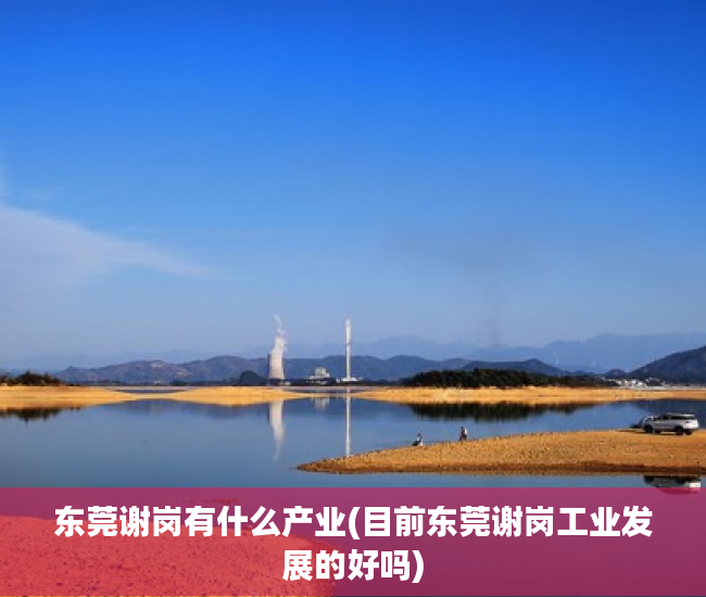 东莞谢岗有什么产业(目前东莞谢岗工业发展的好吗) 东莞谢岗有什么产业(目前东莞谢岗工业发展的好吗)