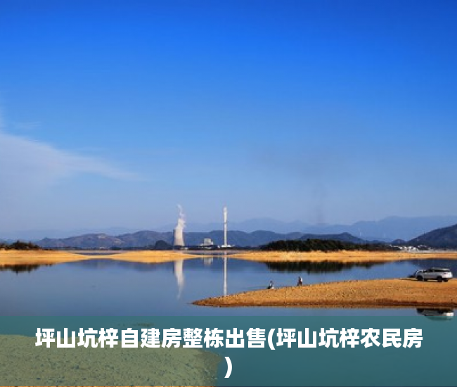 坪山坑梓自建房整栋出售(坪山坑梓农民房) 坪山坑梓自建房整栋出售(坪山坑梓农民房)