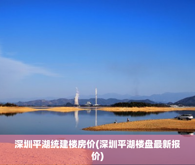 深圳平湖统建楼房价(深圳平湖楼盘最新报价) 深圳平湖统建楼房价(深圳平湖楼盘最新报价)