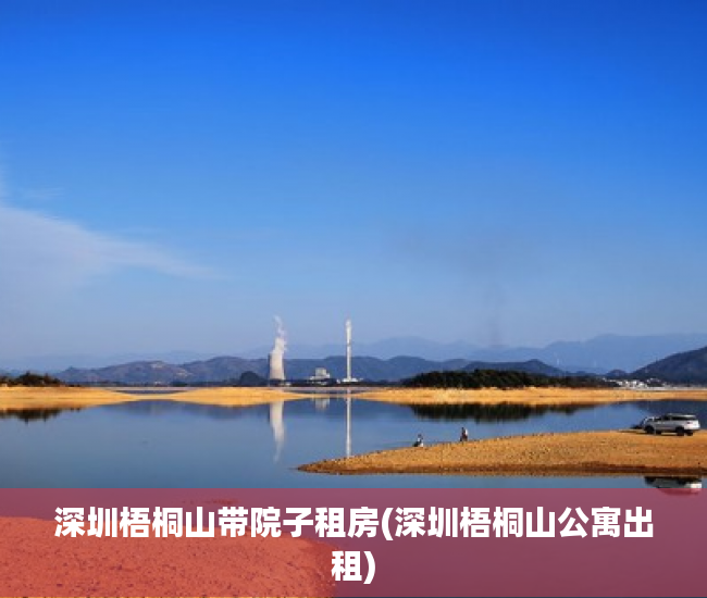 深圳梧桐山带院子租房(深圳梧桐山公寓出租)