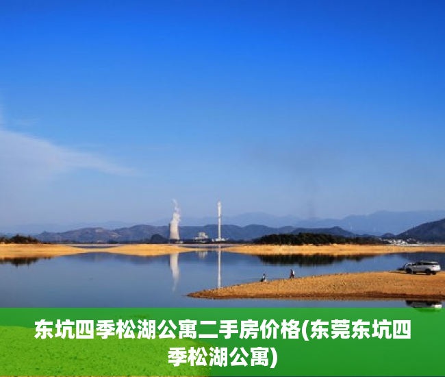 东坑四季松湖公寓二手房价格(东莞东坑四季松湖公寓)