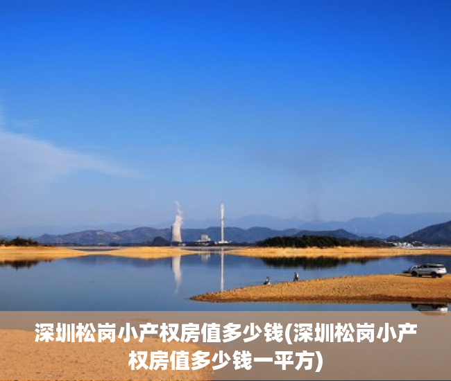 深圳松岗小产权房值多少钱(深圳松岗小产权房值多少钱一平方) 深圳松岗小产权房值多少钱(深圳松岗小产权房值多少钱一平方)