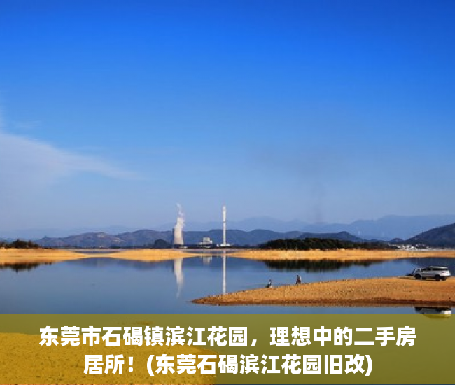 东莞市石碣镇滨江花园，理想中的二手房居所！(东莞石碣滨江花园旧改)